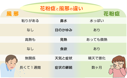 花粉症と風邪の違い