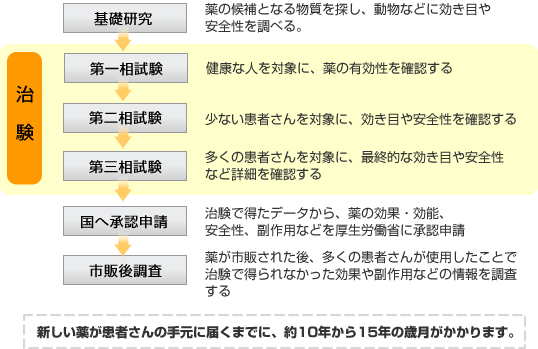 新しい薬ができるまでの流れの説明