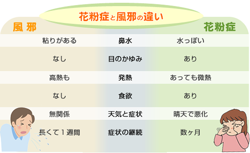 花粉症について 青葉台 スマイル眼科クリニック 横浜市青葉区