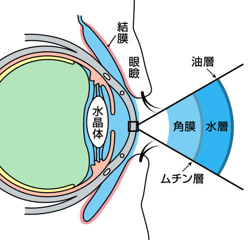 涙の三重構造